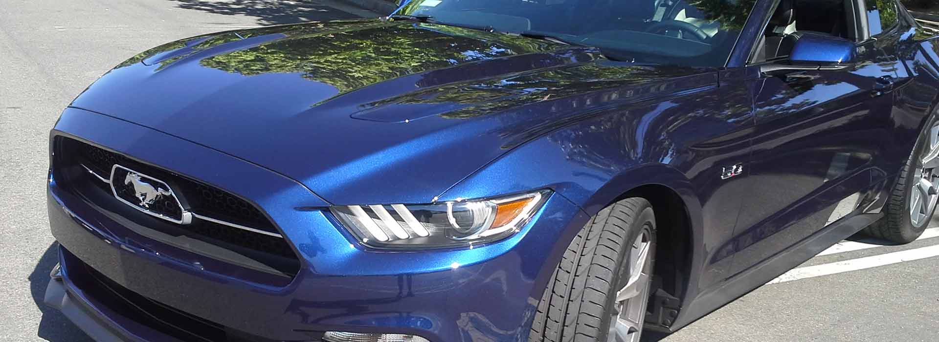 Premier Auto Tint Auto Window Tinting Clear Bra & Vehicle Wraps